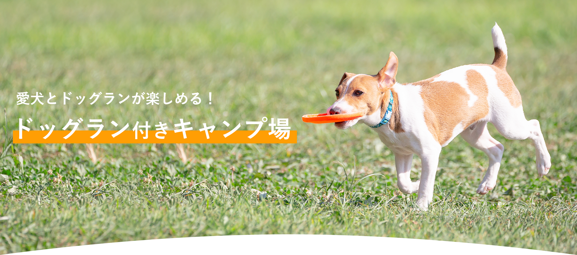 愛犬とドッグランが楽しめる！ドッグラン付きキャンプ場