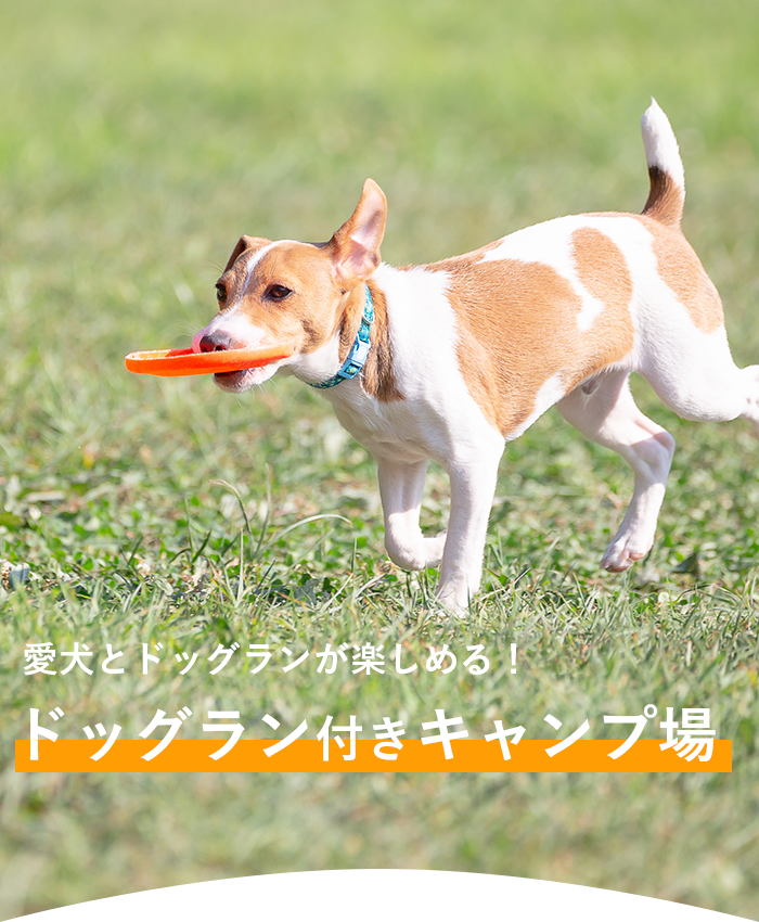 愛犬とドッグランが楽しめる！ドッグラン付きキャンプ場